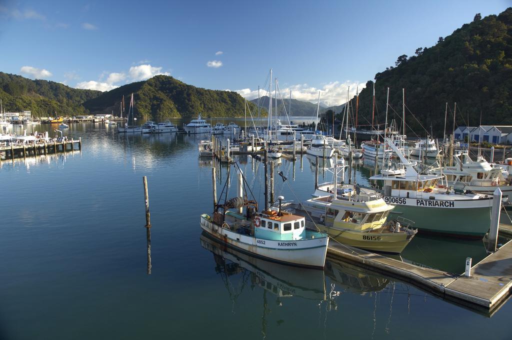 Edit Picton Extérieur photo